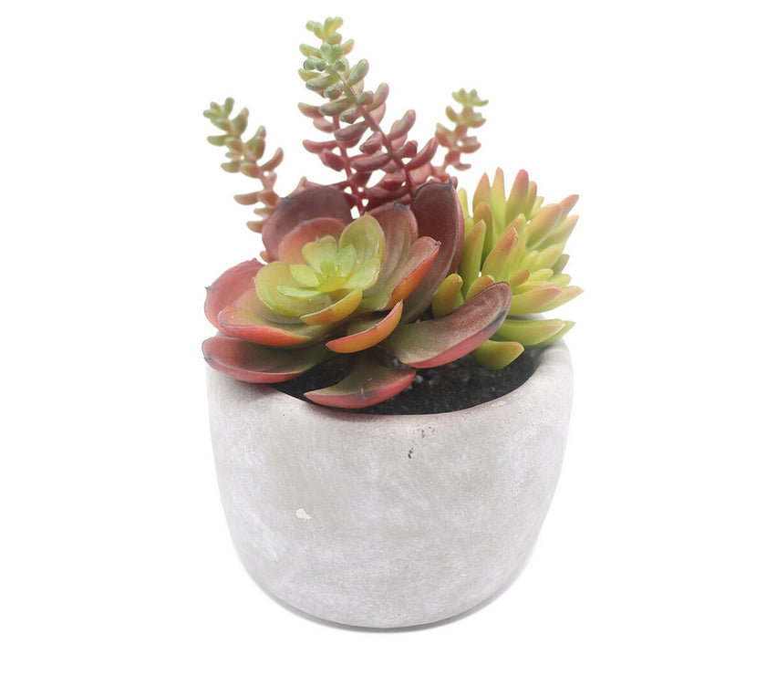 V4H412D72698F7668657694567822021223R4913813P1