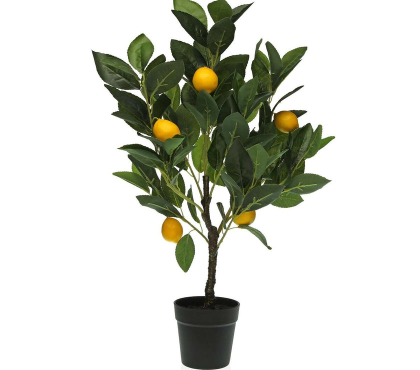 V4H2BAC27DB5B94D51F63CF6AA9486B1DE5R4913777P1