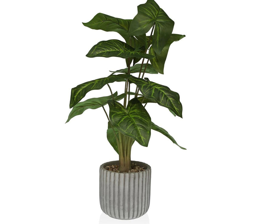 V4H86F82FF451CC9B1A52EAAF7DA26CE70BR4913753P1