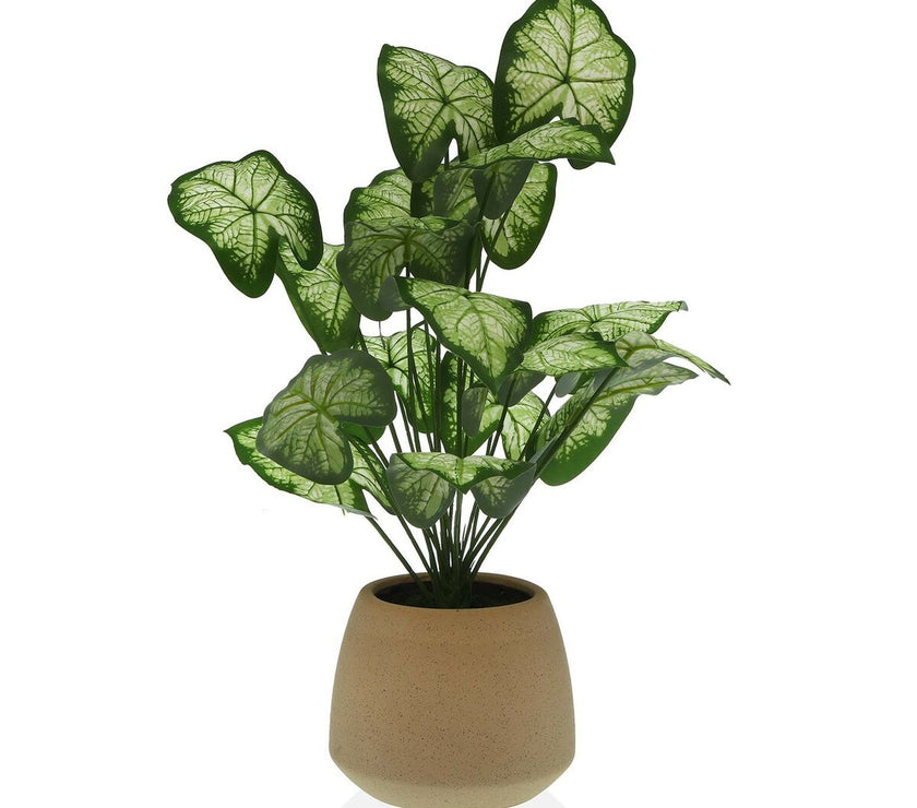 V4H35E9DF967C9EAE447626B2A3A9EB4C77R4913718P1