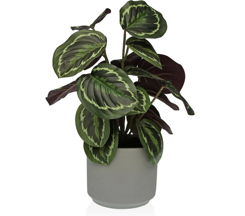 V4HBD32B5820B6444510DBE03F414A8147BR4913781P1