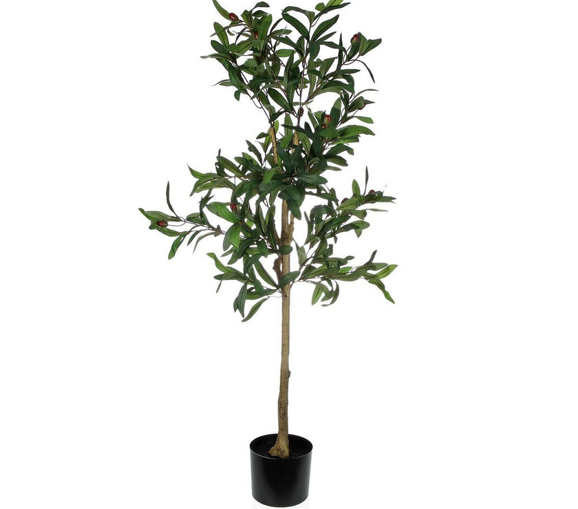 V5H8E8D801C674A460433D3DECDE5544438R3464289P1