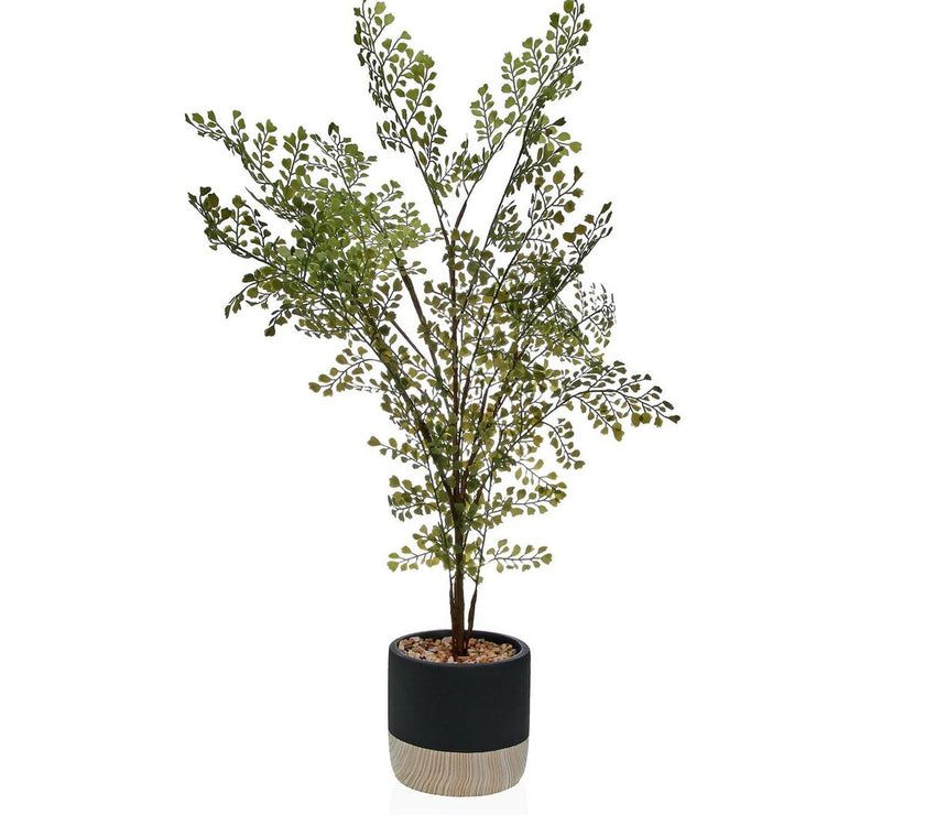 V2H59DB77B8505C6061B07BC66F0DE861FER4579768P1