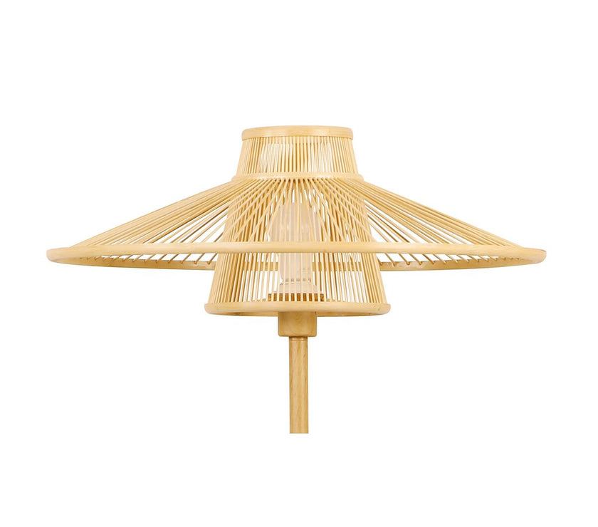 V6H888143352AA2CA0F09CA4C8A4B15609CR4111865P2