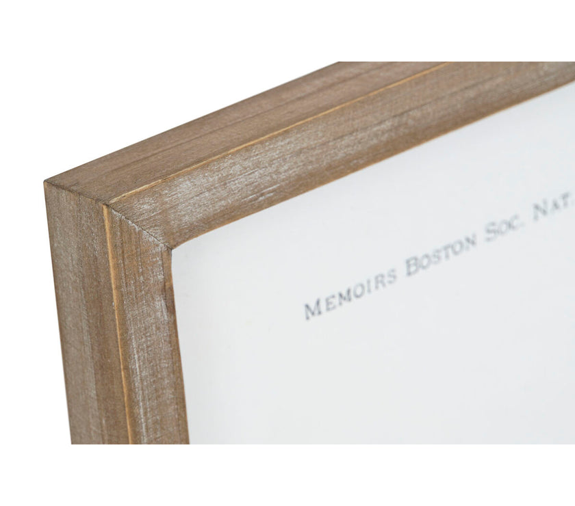 V2H3D5137C4FCA0125F37829555F8C1C18AR4533233P2