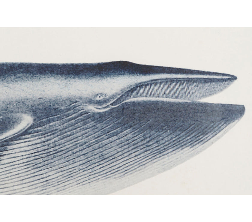 V2H26412EAC7E34CC8B692BC96C0BB12192R4533234P3