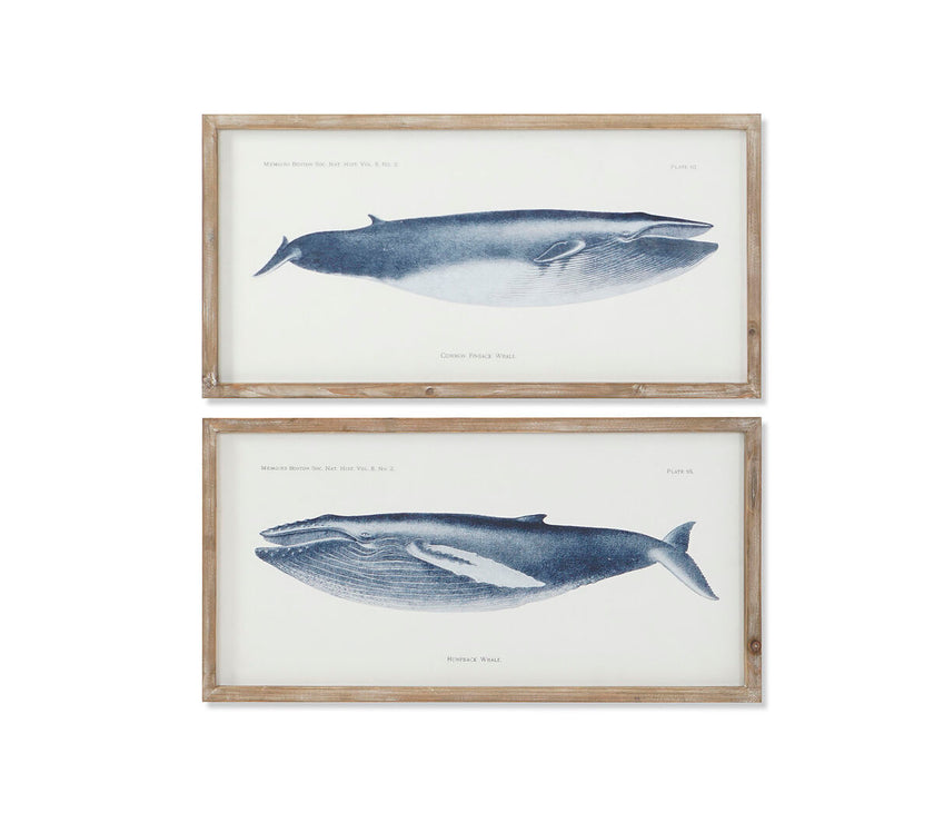 V2H6A7DFD4FEB567FF4B6360ED56F6BEDC7R4533232P1