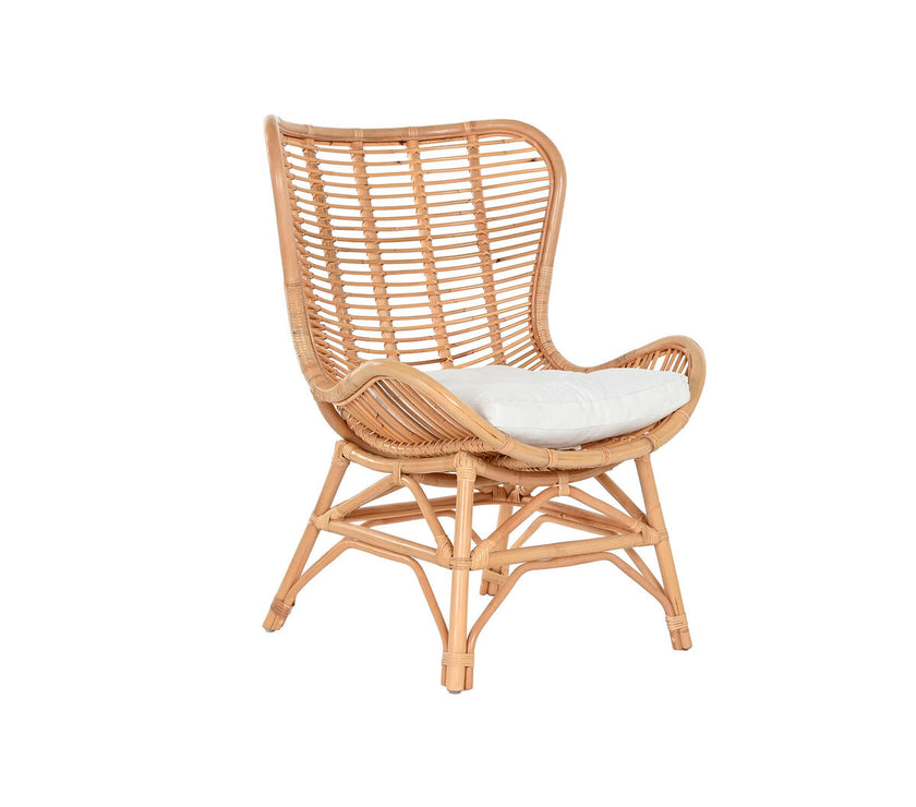 V2H1FE26139C1F553F37CEE951701FE4AAAR4919181P7