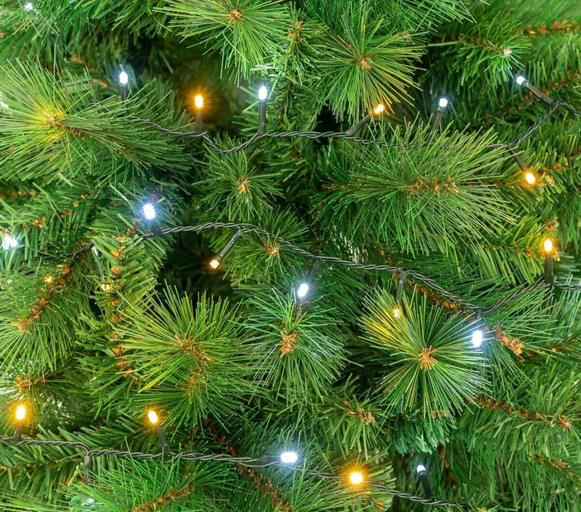 V3HADCBD3FE6A09EF6547EAF3CE67B9B4ADR3062943P3