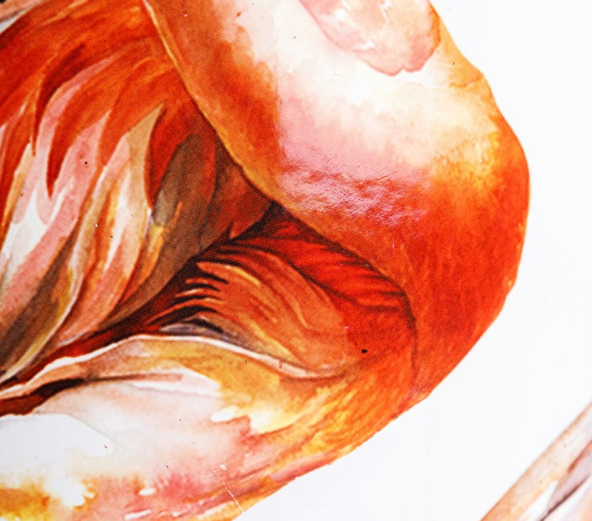 V4H43A4D328D92FD0013AF6673D289CBBECR4946918P4