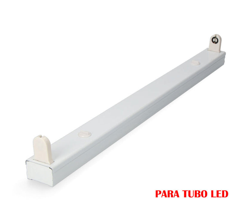 V6HF04312826F736BC3C9113351B9A39369R4455503P2