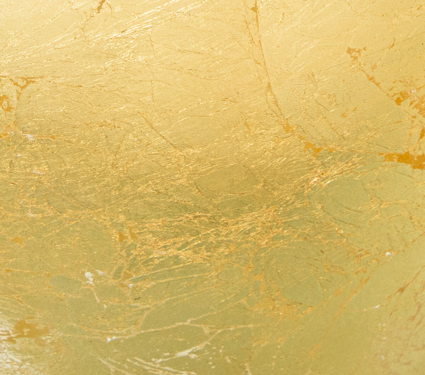 V3H4D8C5CD7C28883B51389762408F055B1R5225081P5