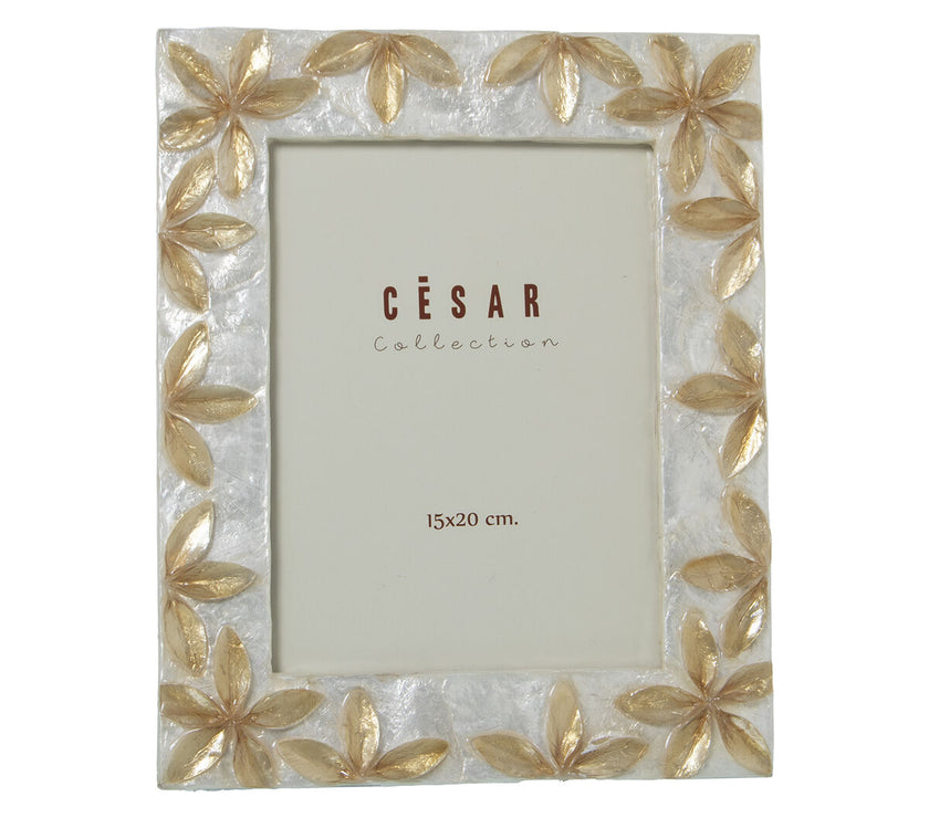 V3H23D32F5089E5CBE71B9D821CE03FA116R5204418P1