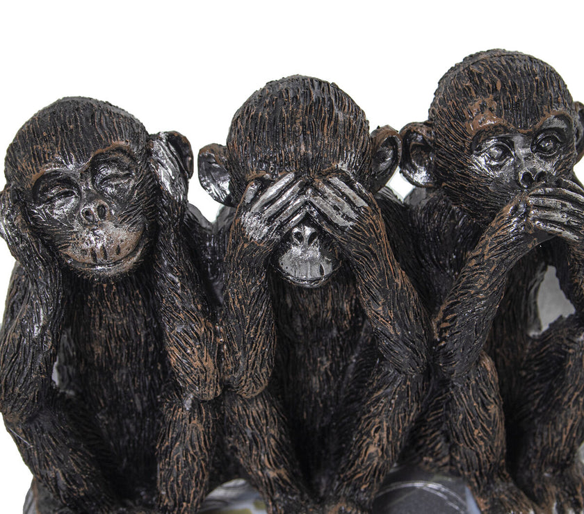 V2HC5E3E439512FB2B6143E9C65AF14E901R4636437P3