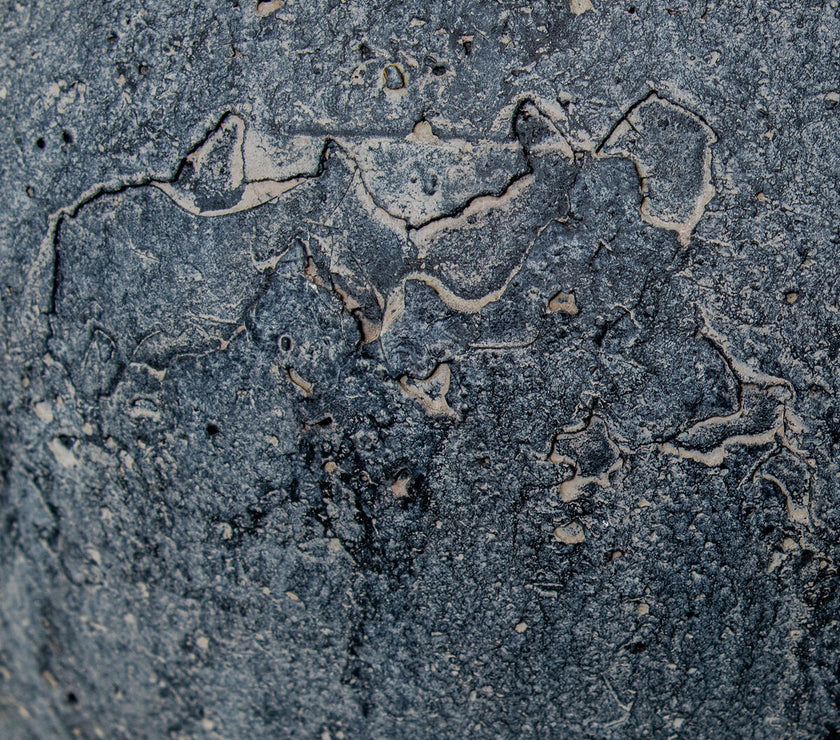 V3H6AEC7F74F6DCA61108E2E4DC12A6A2E6R5242374P3