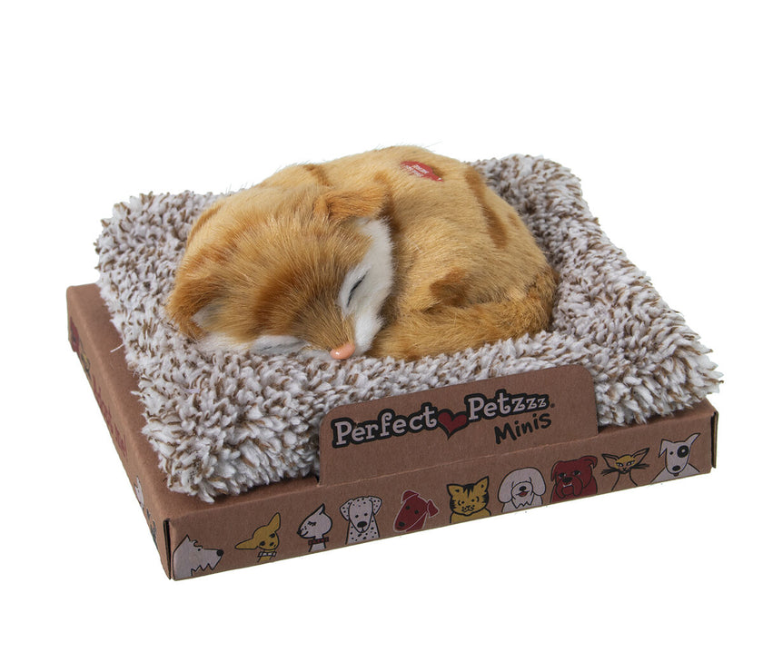 V3H66F7C266232EBD5D7AEDFBAA8D4C41BAR5014276P1