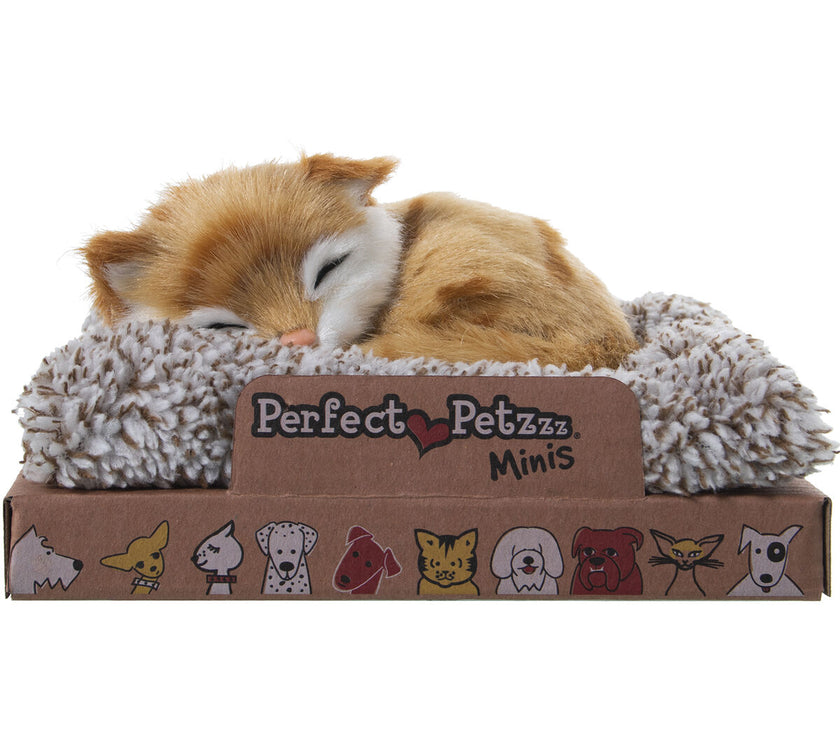 V3H6C77F3113E12132AF6EBE48DB37773A0R5014278P2