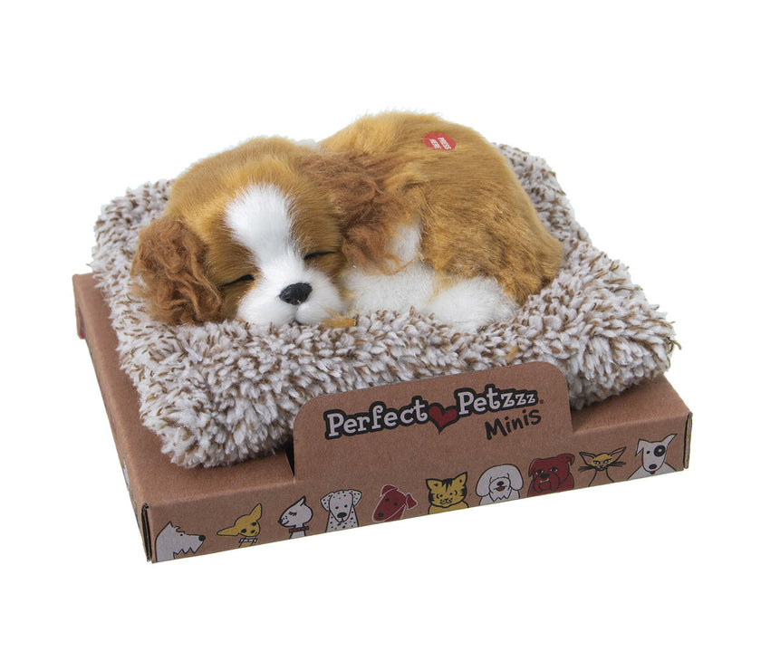 V3HBE8045263203002C4ABC823CCF6CC7E6R5014287P1