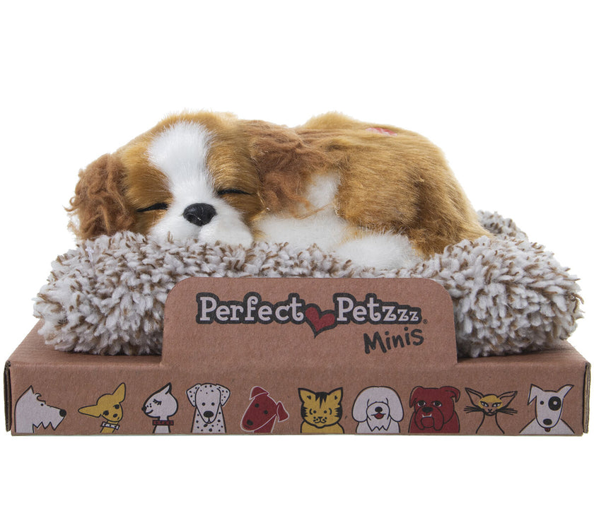 V3H6D3F5BAB17FB1433A5269BD367BF756AR5014291P2