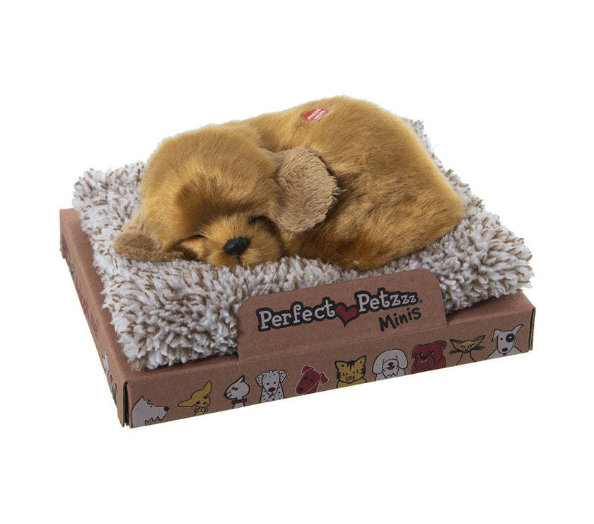 V3HD872E30CAD23AC79F9DCD1AA433D63A1R5014301P1