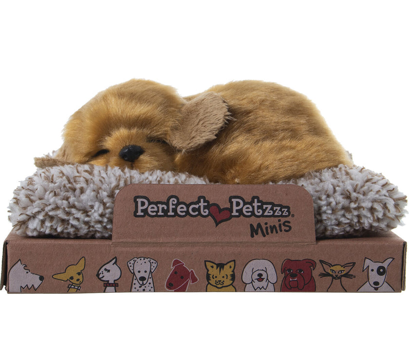 V3H597F86BE414487BD9A84F965A3CA7E55R5014304P2