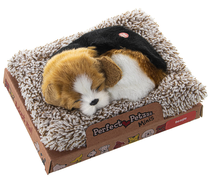 V3H9EDA15DD56DA47A2DA1D9660129832D8R5014295P1