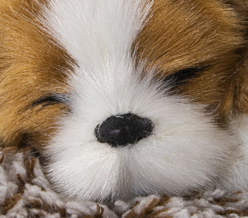 V3H274F743A2B979EC21686806F58DACC13R5014302P3