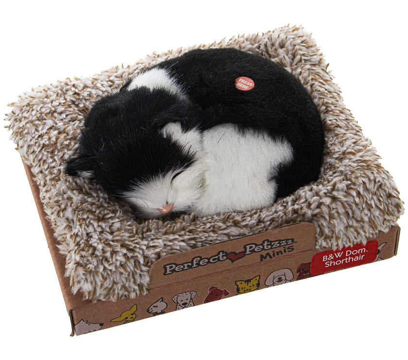 V3H2ED6D43CA4023BF3C23D7554CFB108C3R5014353P1