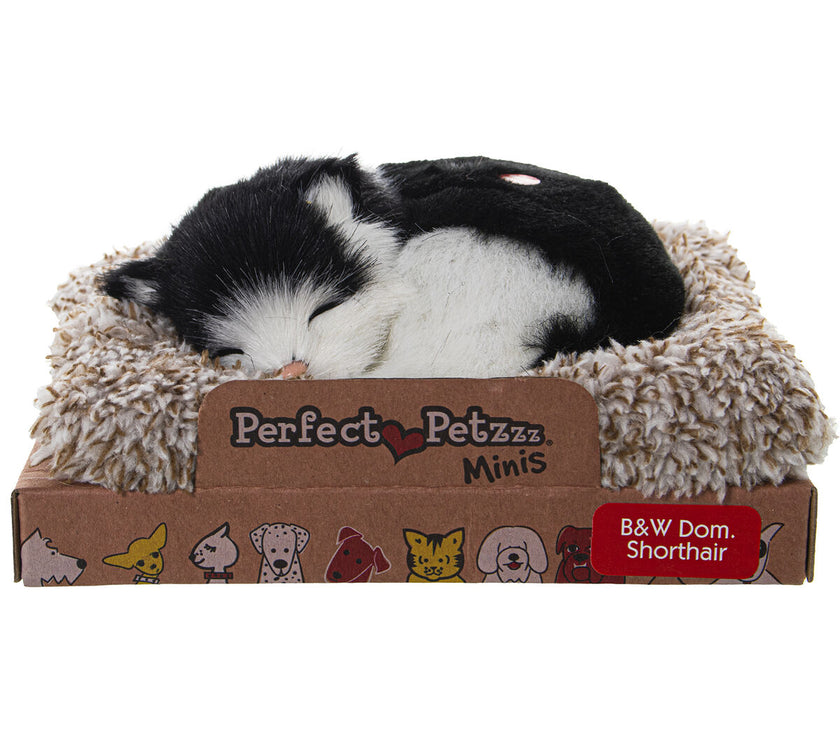 V3HCF7EE5D0F9E13FC8D135878090268E2DR5014354P2