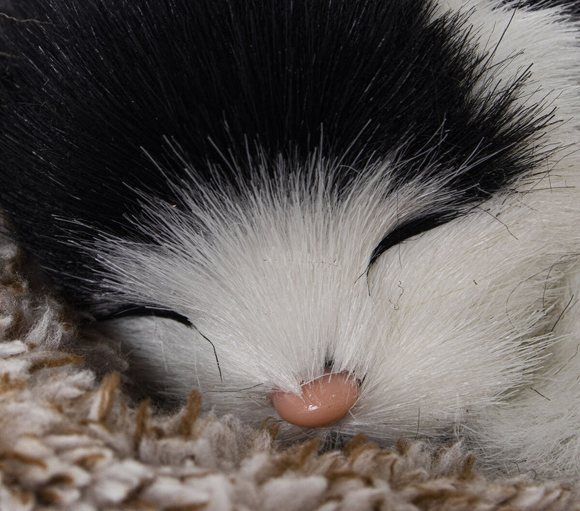 V3H28F1C81DBDA731379C3CB681F089068FR5014355P3