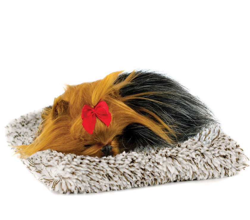 V3H59903C6B471F261CF4C0CEBABC398A2BR5014201P1