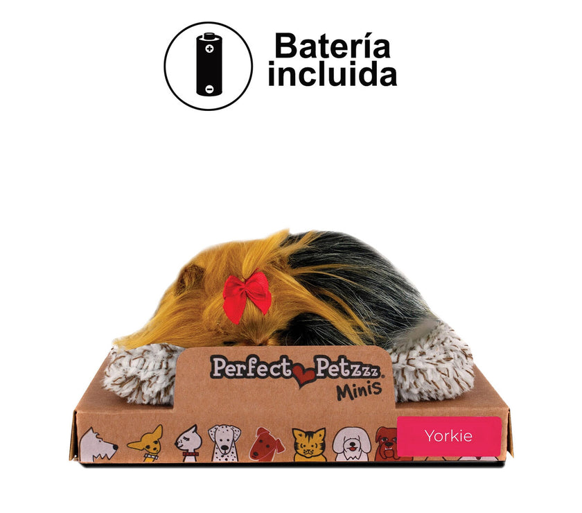 V3H7F0B0640BDA8811E8C08638D61B5A65FR5014205P2