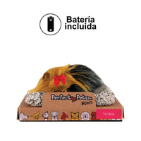 V3H7F0B0640BDA8811E8C08638D61B5A65FR5014205P2