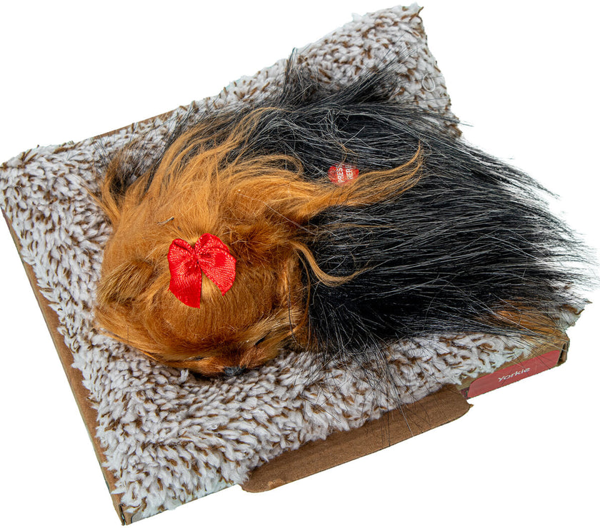 V3H7F0BB76C557B1B578E8493AD2892F038R5014208P3