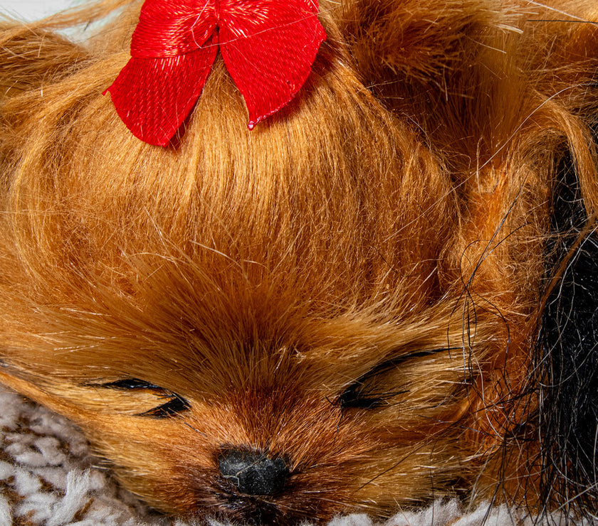 V3HDE2E93AC8EE7628724AAE557F702FAB4R5014211P4