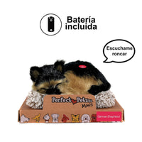 V3HA8B5865AAEA00DF07AA2CA66EE0714DBR5014315P2