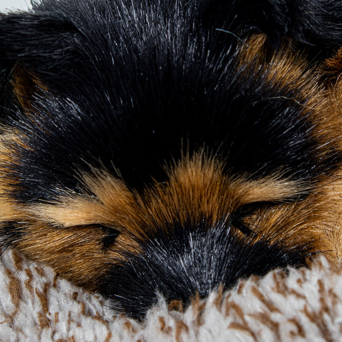 V3H06B8242E50DCF92220C01F018DF55554R5014318P3