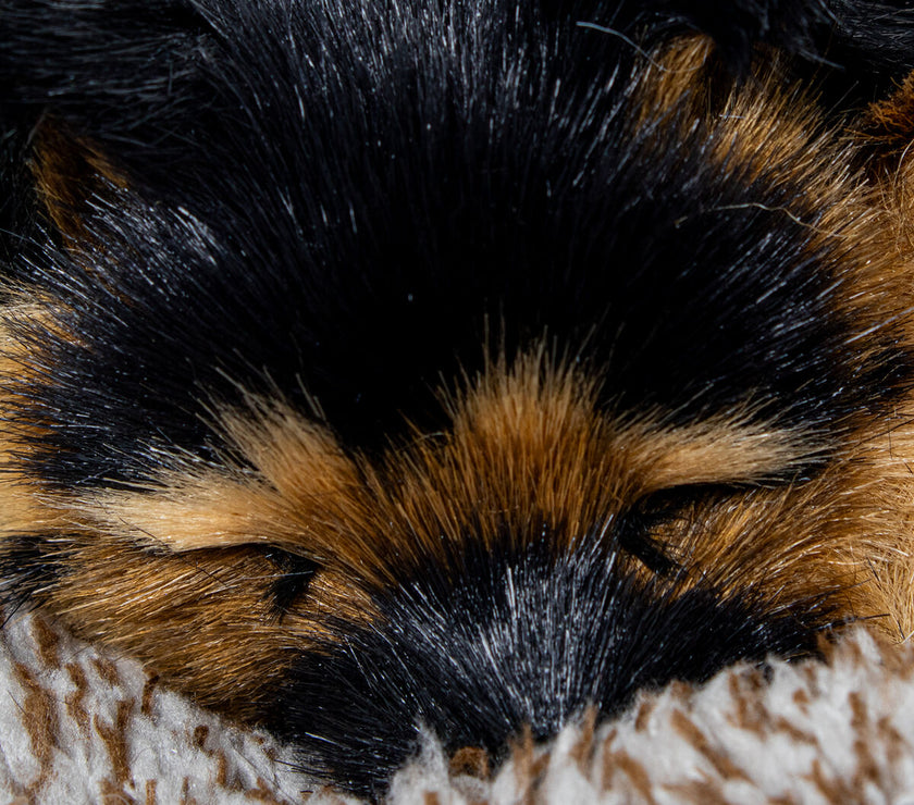 V3H06B8242E50DCF92220C01F018DF55554R5014318P3