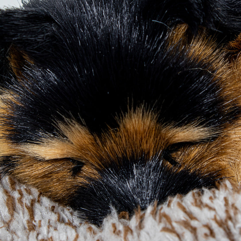 V3H06B8242E50DCF92220C01F018DF55554R5014318P3