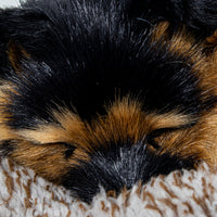 V3H06B8242E50DCF92220C01F018DF55554R5014318P3