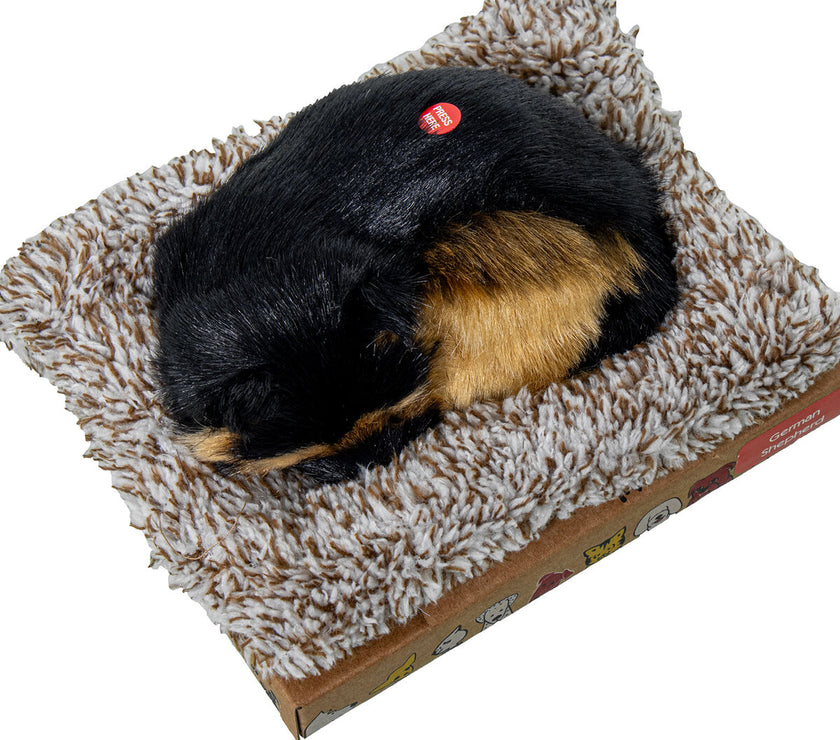 V3H5DACE3F02B2573FF11938FE6FC6BA269R5014319P4