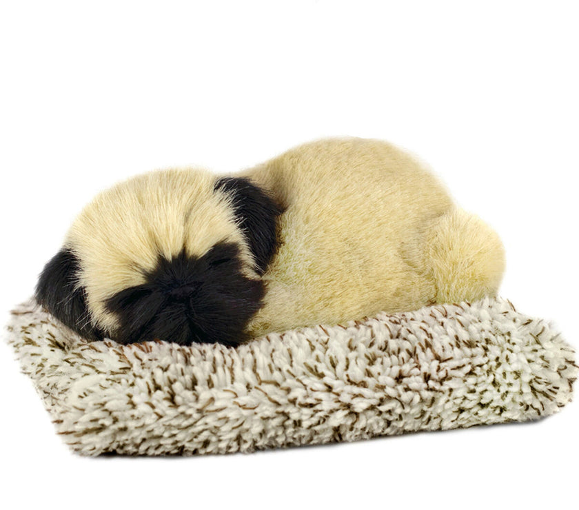 V3HE19BC8DED599975E8D5B2C0F8AA0C45ER5014218P1