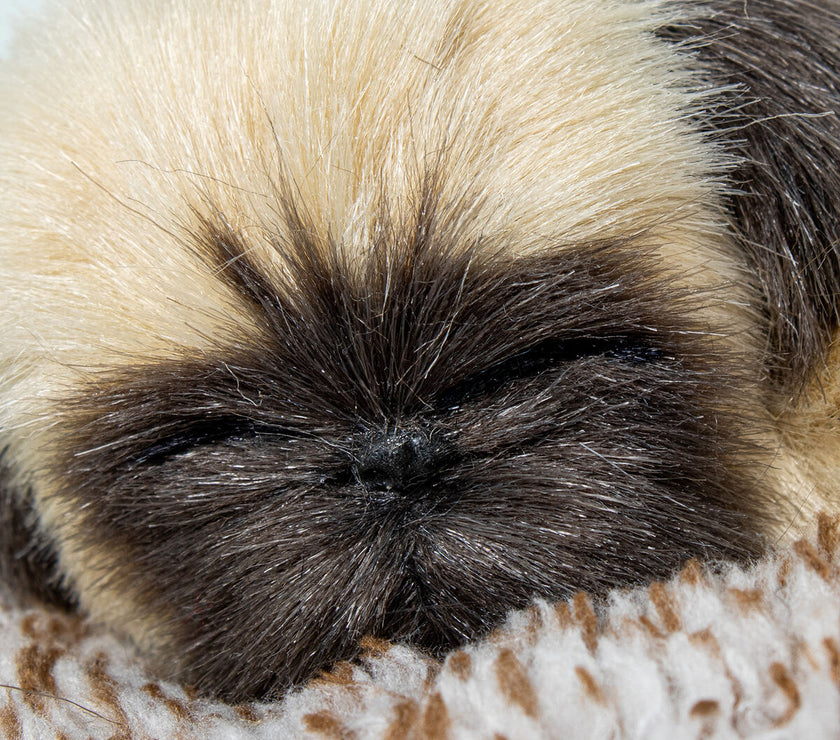 V3HB103824A5B02A6B08803E5A4C55FE6D4R5014223P3