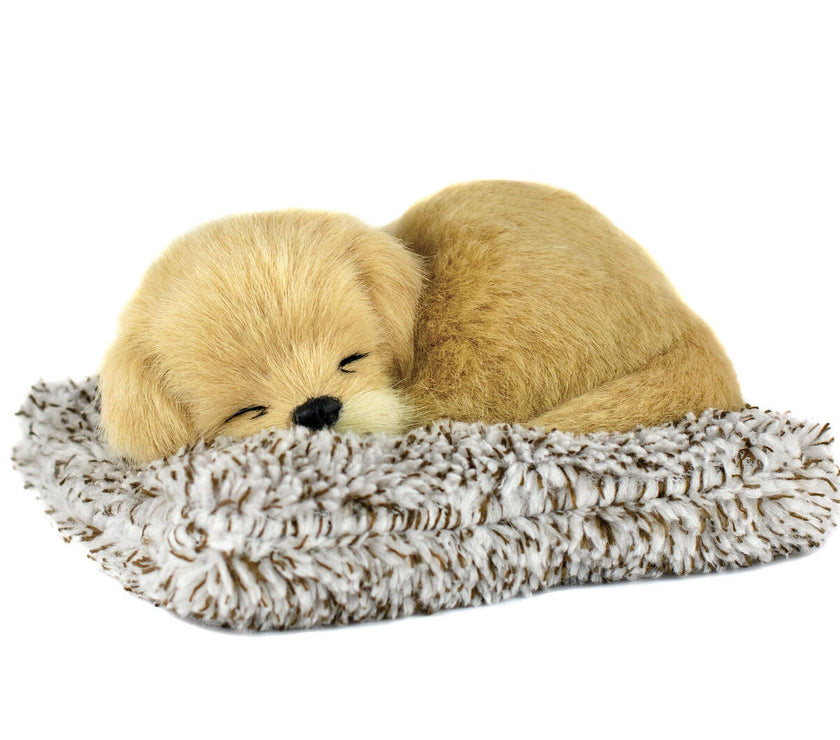 V3H656513E38892D9BB10FD7B65F65605E1R5014202P1