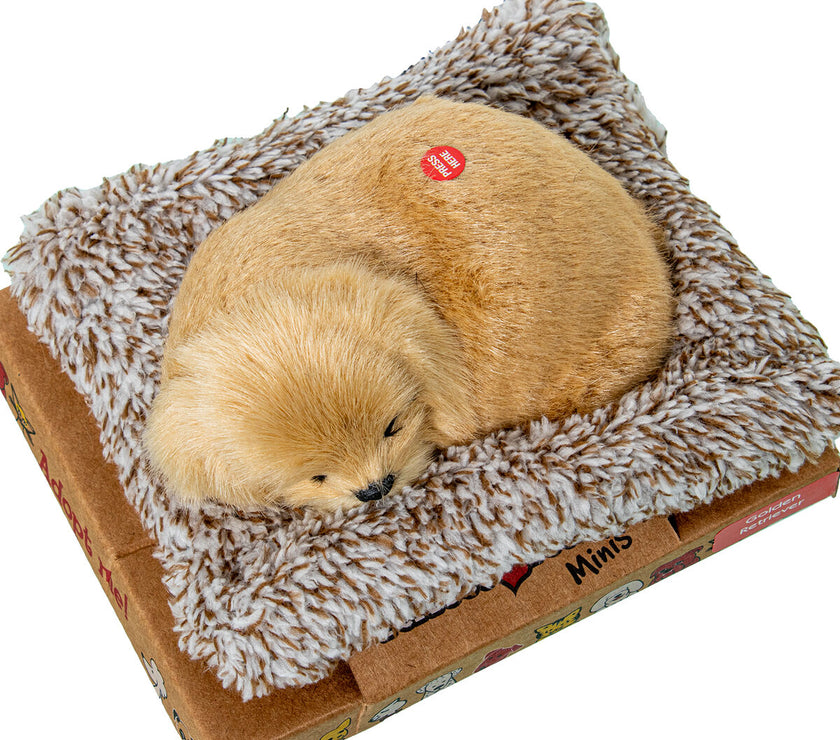 V3HFDA4A9FAC1B17A9F9BB527338B60652BR5014209P3