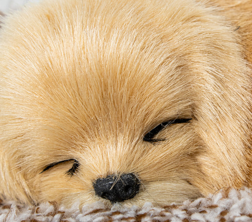 V3HCF3644DA78EE9A90B99B63E7625D4070R5014212P4