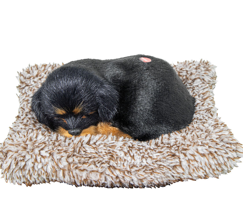 V3HF155FF524CEC7A5EFBE756684B465491R5014307P1