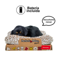 V3H7A3BDBD1CD90EFD7567D2CB8B354370FR5014310P2