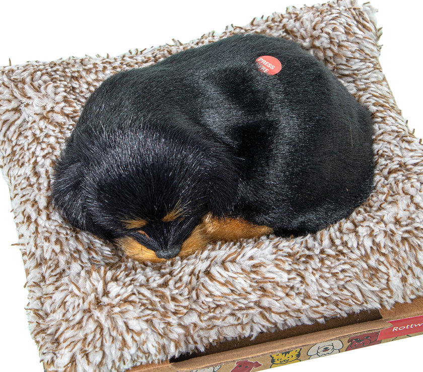 V3HF176211C90AD2872F9B4916C15C9E53ER5014313P3