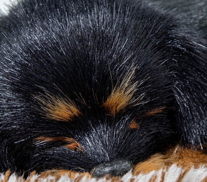 V3H1AB81CEC8F8DFCD79DB08F478D2D29E0R5014316P4